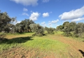 Country house with land for sale on España, Gibraleón, ref: TR169869 photo
