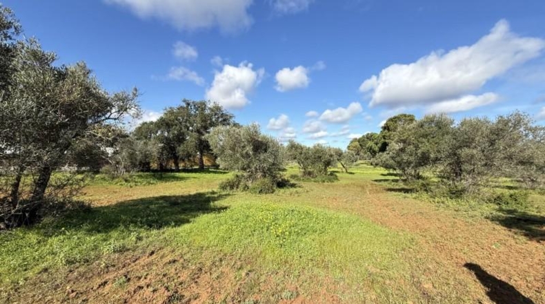 Huelva - Gibraleón - 295m2