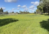 Country house with land for sale on España, Gibraleón, ref: TR169869 photo