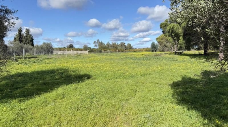 Huelva - Gibraleón - 295m2