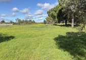 Country house with land for sale on España, Gibraleón, ref: TR169869 photo