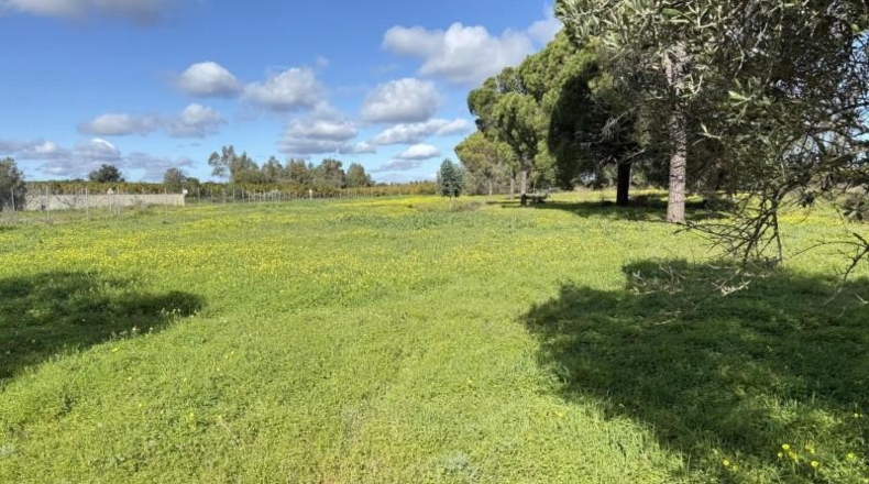Huelva - Gibraleón - 295m2