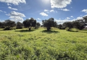 Country house with land for sale on España, Gibraleón, ref: TR169869 photo