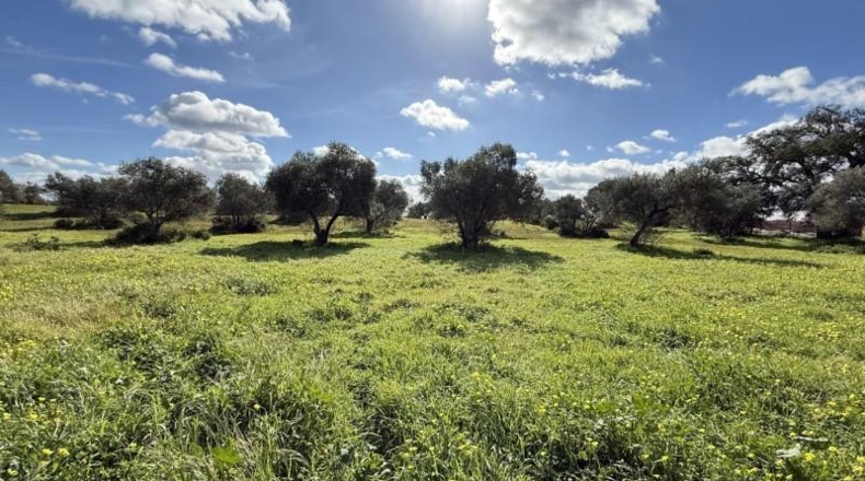Huelva - Gibraleón - 295m2