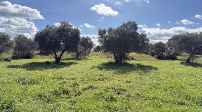 Huelva - Gibraleón - 295m2