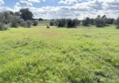 Country house with land for sale on España, Gibraleón, ref: TR169869 photo