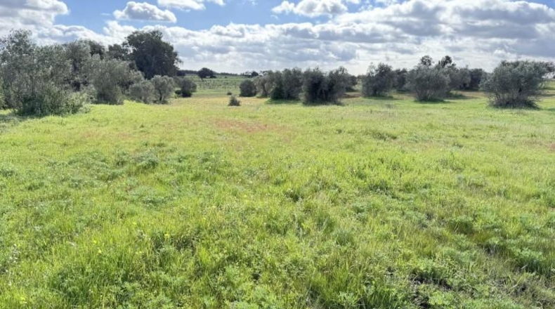 Huelva - Gibraleón - 295m2