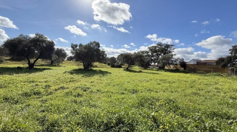 Huelva - Gibraleón - 295m2