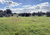 Country house with land for sale on España, Gibraleón, ref: TR169869 photo