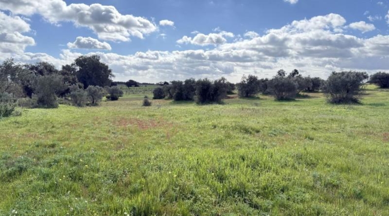 Huelva - Gibraleón - 295m2