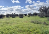 Country house with land for sale on España, Gibraleón, ref: TR169869 photo