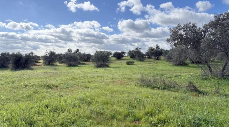 Huelva - Gibraleón - 295m2