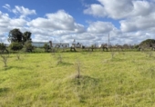 Country house with land for sale on España, Gibraleón, ref: TR169869 photo