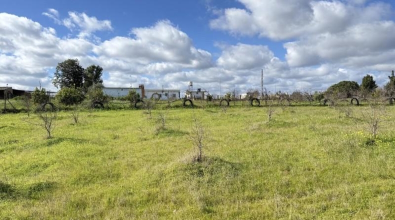Huelva - Gibraleón - 295m2
