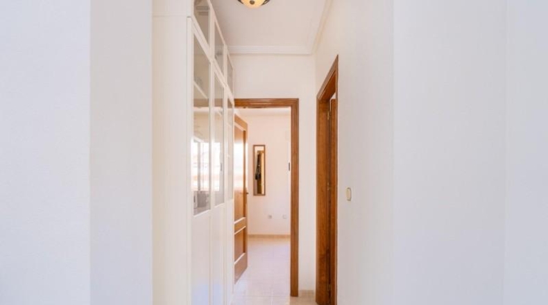 Alicante - Orihuela - 211m2