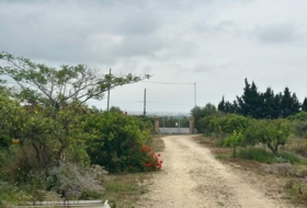 l'Ampolla 12879&nbsp;m²