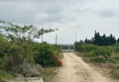 Country house with land for sale on España, l'Ampolla, ref: TR417607 photo