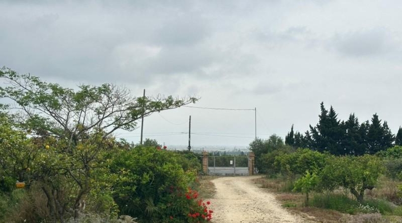 Tarragona - l'Ampolla - 12879m2