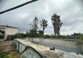 Country house with land for sale on España, l'Ampolla, ref: TR417607 photo