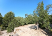 Detached villa with land for sale on España, l'Ametlla de Mar, ref: TR417616 photo