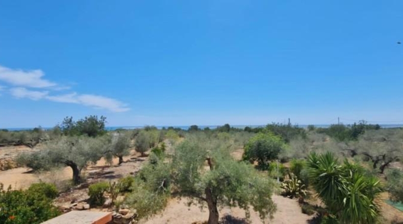 Tarragona - l'Ampolla - 30000m2