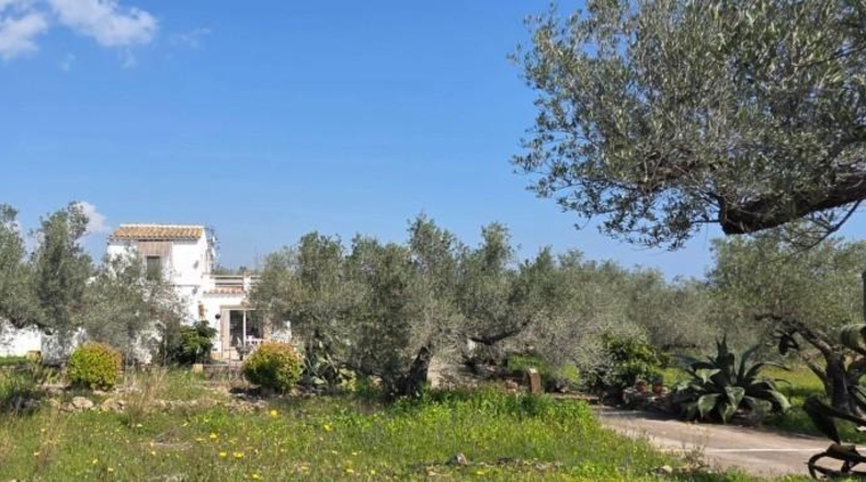 Tarragona - l'Ampolla - 30000m2