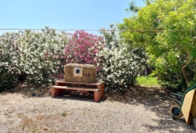 Foto 15