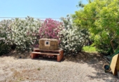 Detached villa with land for sale on España, Daya Nueva, ref: TR417619 photo