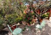 Detached villa with land for sale on España, Dénia, ref: TR417623 photo