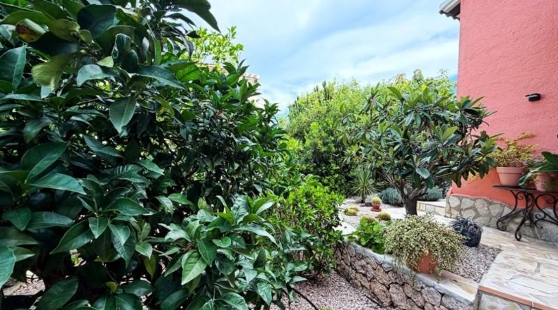 Alicante - Dénia - 650m2
