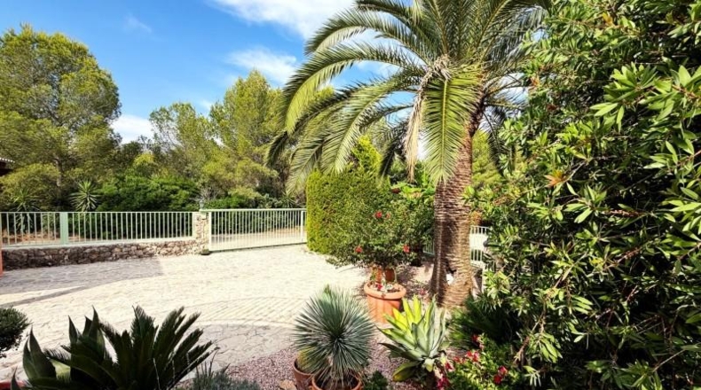 Alicante - Dénia - 650m2