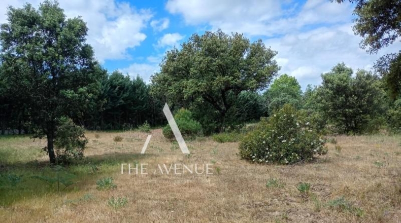 Community of Madrid - Villanueva de la Cañada - 4109m2