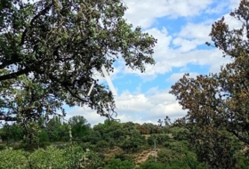 Foto 15