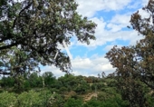 Suelo urbano en venta en la España, Villanueva de la Cañada, ref: TR369038 foto