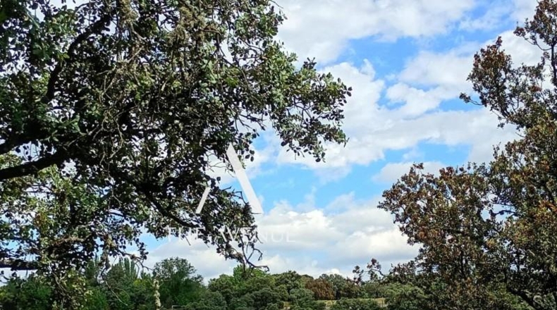 Community of Madrid - Villanueva de la Cañada - 4109m2