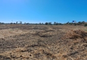 Finca rústica en venda a la España, Jerez de la Frontera, ref.: TR347420 foto
