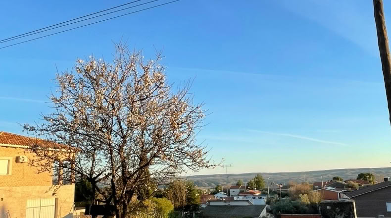 Comunidad de Madrid - Colmenar de Oreja - 828m2