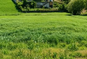 San Mamés de Meruelo 4505&nbsp;m²