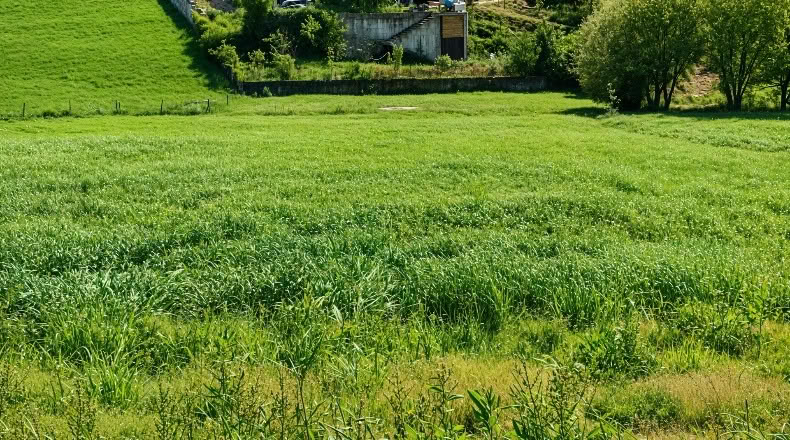 Cantabria - San Mamés de Meruelo - 4505m2