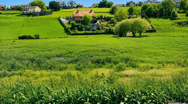 Cantabria - San Mamés de Meruelo - 4505m2