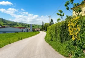 San Mamés de Meruelo 4505&nbsp;m²
