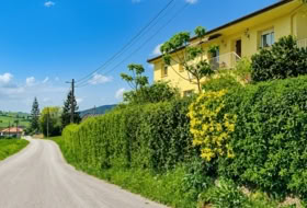 San Mamés de Meruelo 4505&nbsp;m²