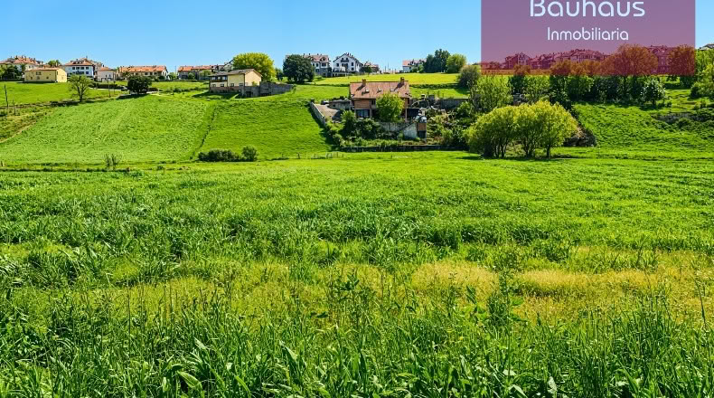 Cantabria - San Mamés de Meruelo - 4505m2