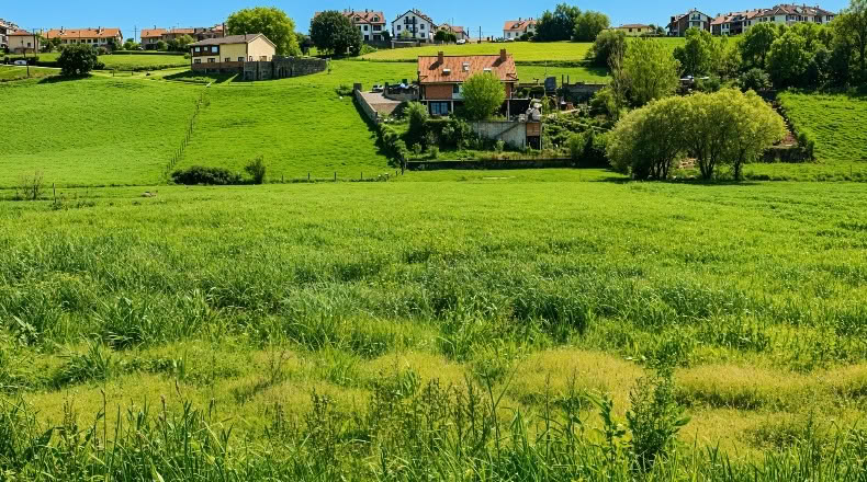 Cantabria - San Mamés de Meruelo - 4505m2
