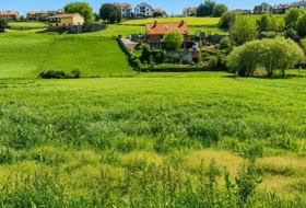 San Mamés de Meruelo 4505&nbsp;m²