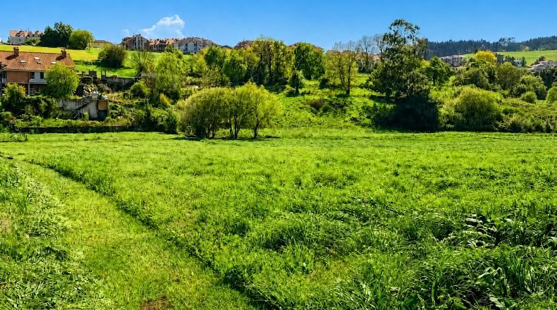 Cantabria - San Mamés de Meruelo - 4505m2