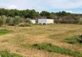 Terreno no urbanizable en venta en la España, Llíria, ref: TR416823 foto