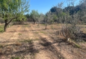 Terreno no urbanizable en venta en la España, Llíria, ref: TR416823 foto
