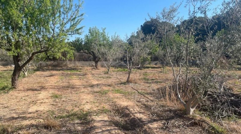 València - Llíria - 7340m2
