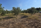 Terreno no urbanizable en venta en la España, Llíria, ref: TR416823 foto